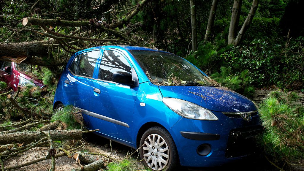 car insurance India