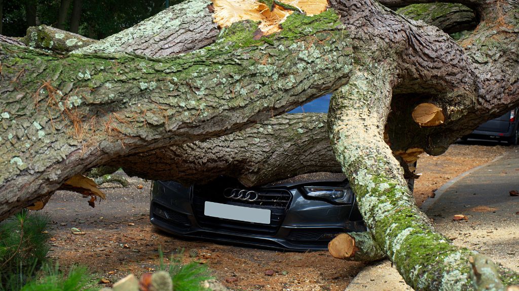 cashless car insurance claim process India